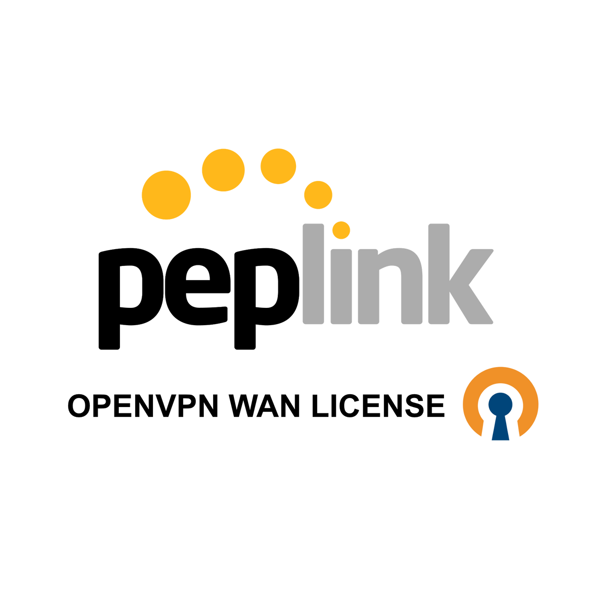 OpenVPN WAN License